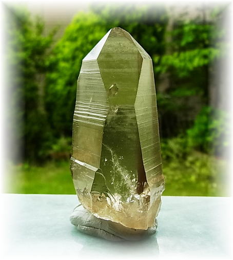 ゴールデンレムリアンシード